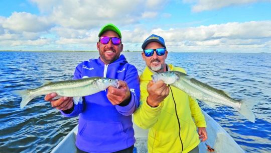 Los pejerreyes lomo negro de Pila