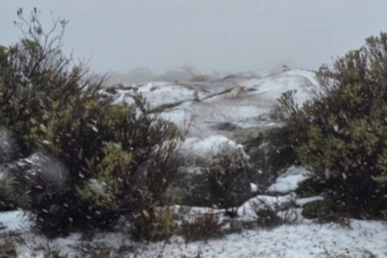 Córdoba: comenzó a nevar y cortaron el camino de las Altas Cumbres