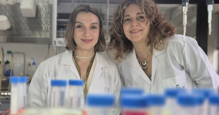 Cáncer: científicos argentinos diseñan una molécula que podría aprovecharse para mejorar la quimioterapia