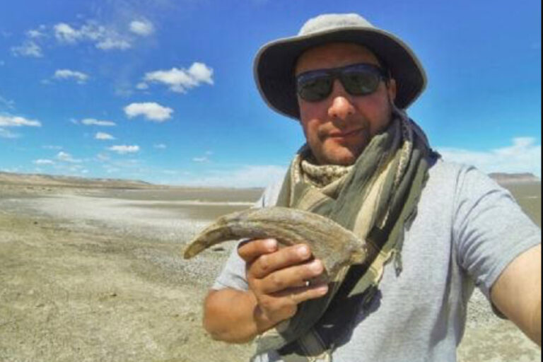 Descubren un nuevo dinosaurio en Argentina