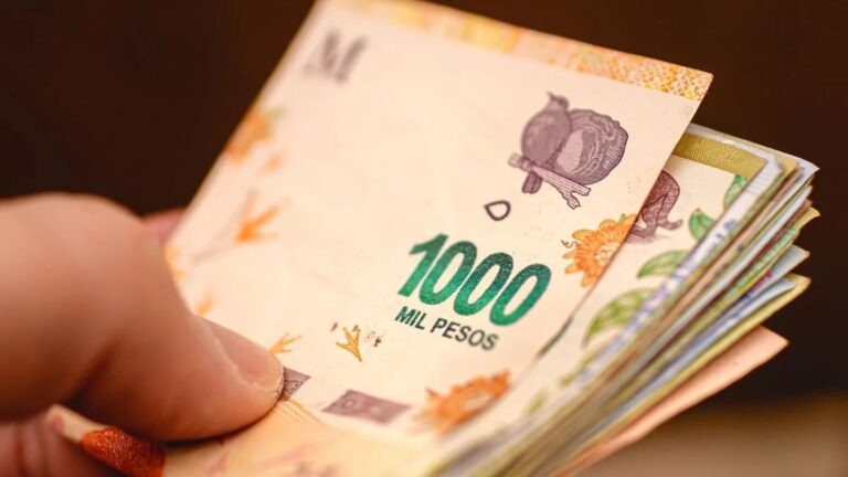 ANSES: los beneficiarios a los que les toca aguinaldo en diciembre 2025