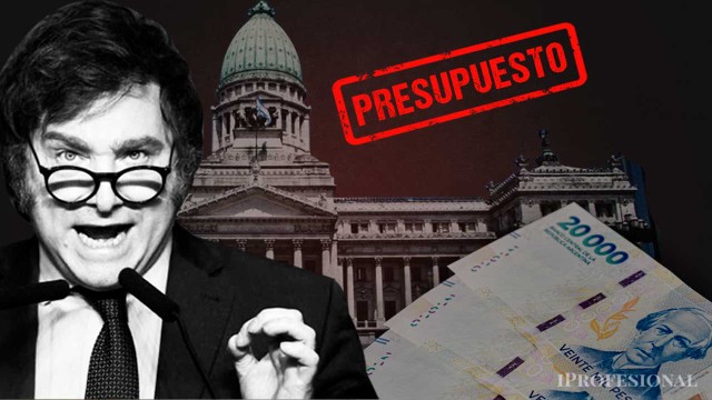 Presupuesto 2026: el oficialismo lo aprobará en el Senado sin el capítulo que rechazó Diputados