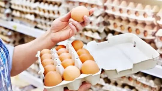 La producción de huevos tuvo un 9% de crecimiento: Es exponencial con respecto a otros países