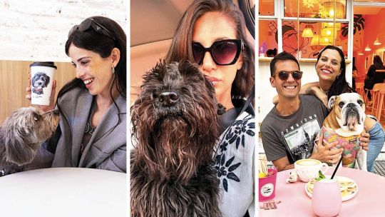 Ciudad Pet Friendly: Buenos Aires con correa