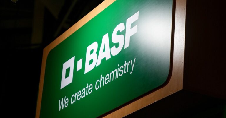 Uno de los segmentos más rentable: avanza la separación del negocio agrícola en una multinacional